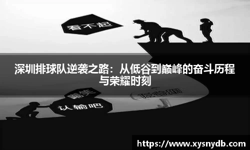 深圳排球队逆袭之路：从低谷到巅峰的奋斗历程与荣耀时刻